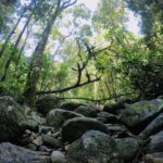 p-d-p-iWoM9IS-nGs-unsplash