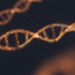 anirudh-YQYacLW8o2U-unsplash