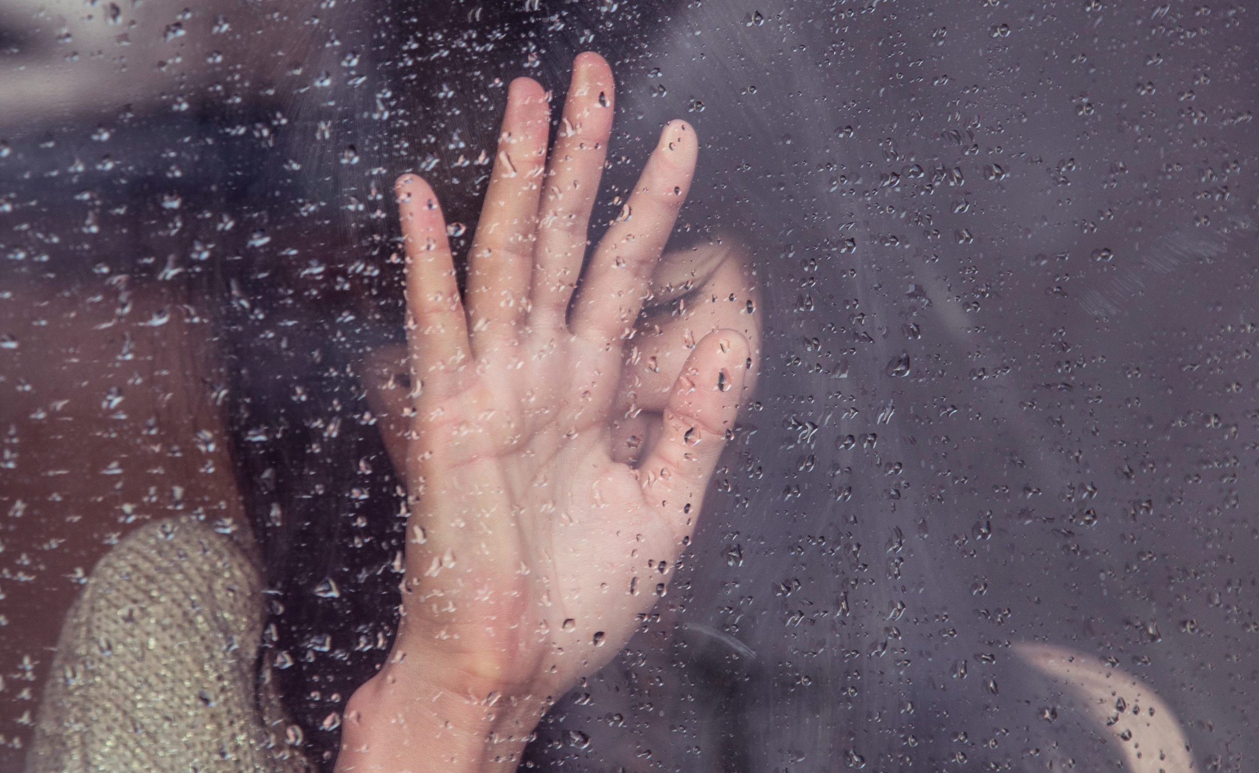 milada-vigerova-kT0tsYZ2YE0-unsplash