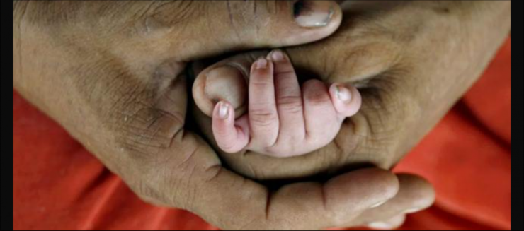 India's MMR at 103; UP, MP, Assam, Chhattisgarh Still Above 150 – Higher Than SDG goal – The Wire Science - Vimarsana News