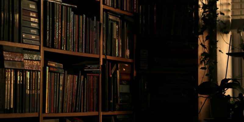 A Historian and Her Archives - Vimarsana News
