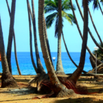 andaman sea
