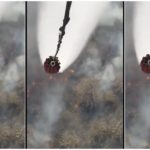 sariska fire