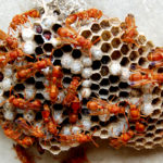 Image 1(1)