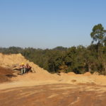 For Indian tree lovers, plantations are a poor substitute for lost forests