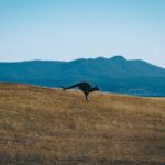fidel-fernando-79_uJyc7ql4-unsplash