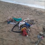 March Flotsam 1