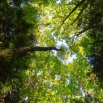 dave-hoefler-7i3AFqQ8sgk-unsplash