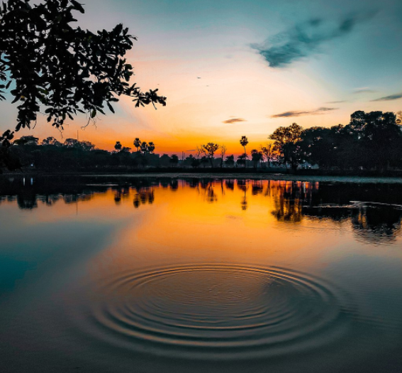 Book Review: Returning Home to Heal and to Explore the Familiar and the Changed