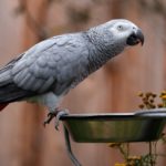 lilian-dibbern-ftwDuke2UgA-unsplash