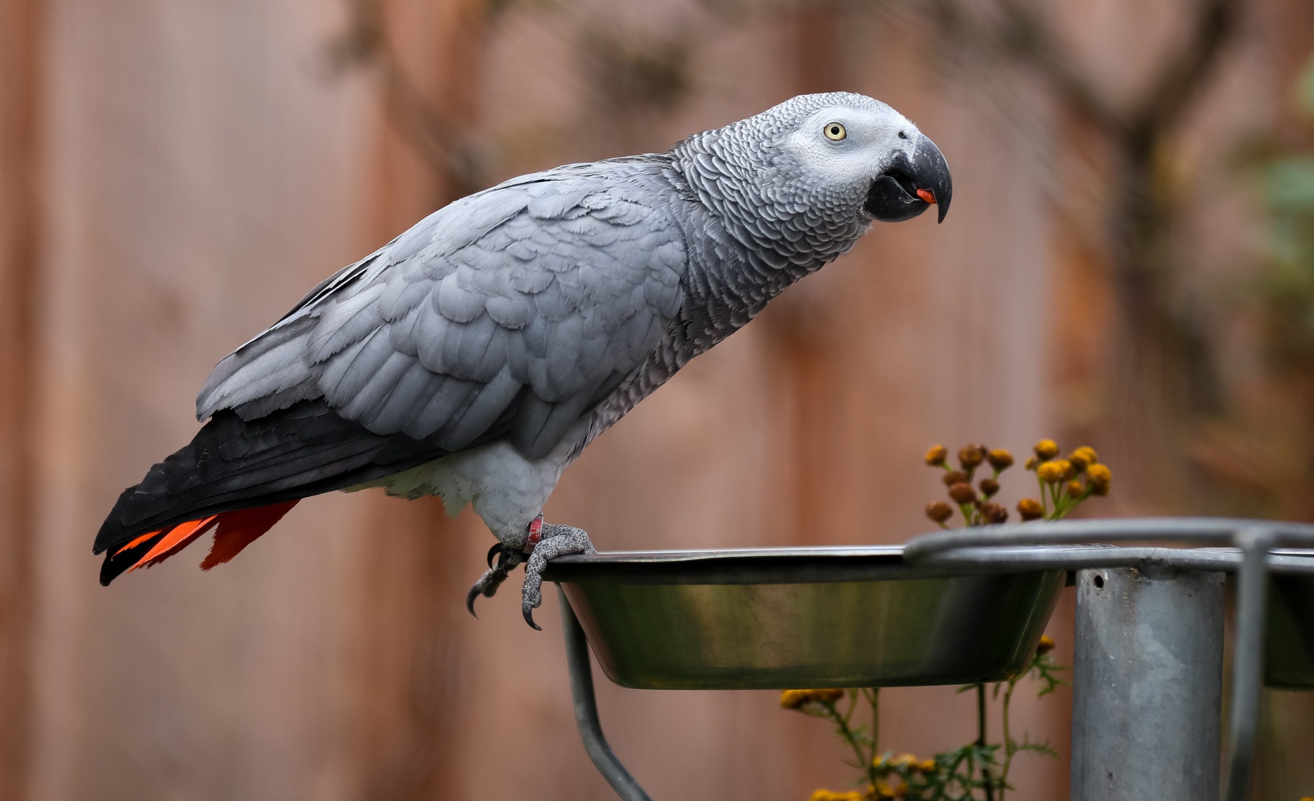 lilian-dibbern-ftwDuke2UgA-unsplash