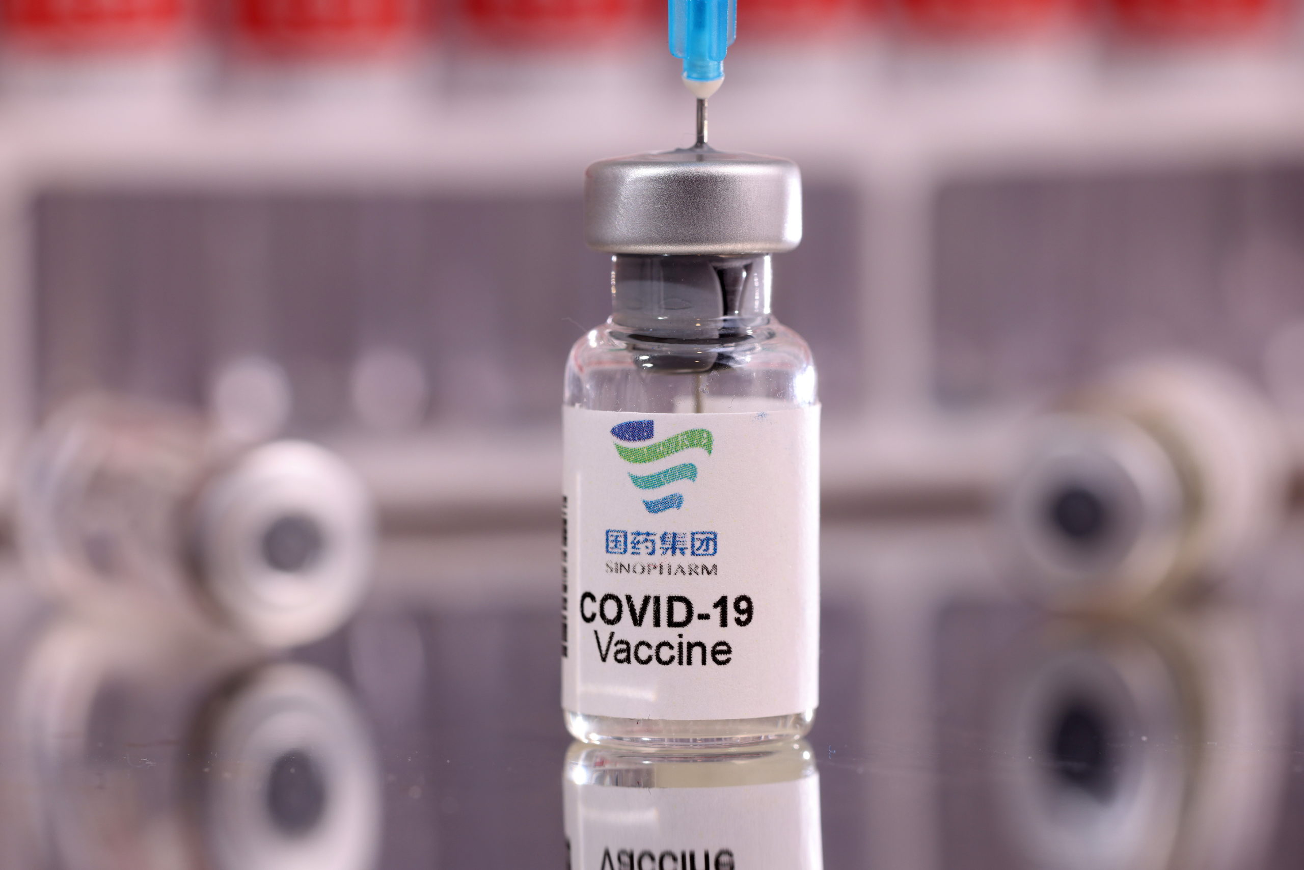 FILE PHOTO: Illustration shows vial labelled "Sinopharm COVID-19 Vaccine