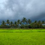 sreehari-devadas-5CKqByQqu-w-unsplash