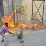 Forest fire in Shimla
