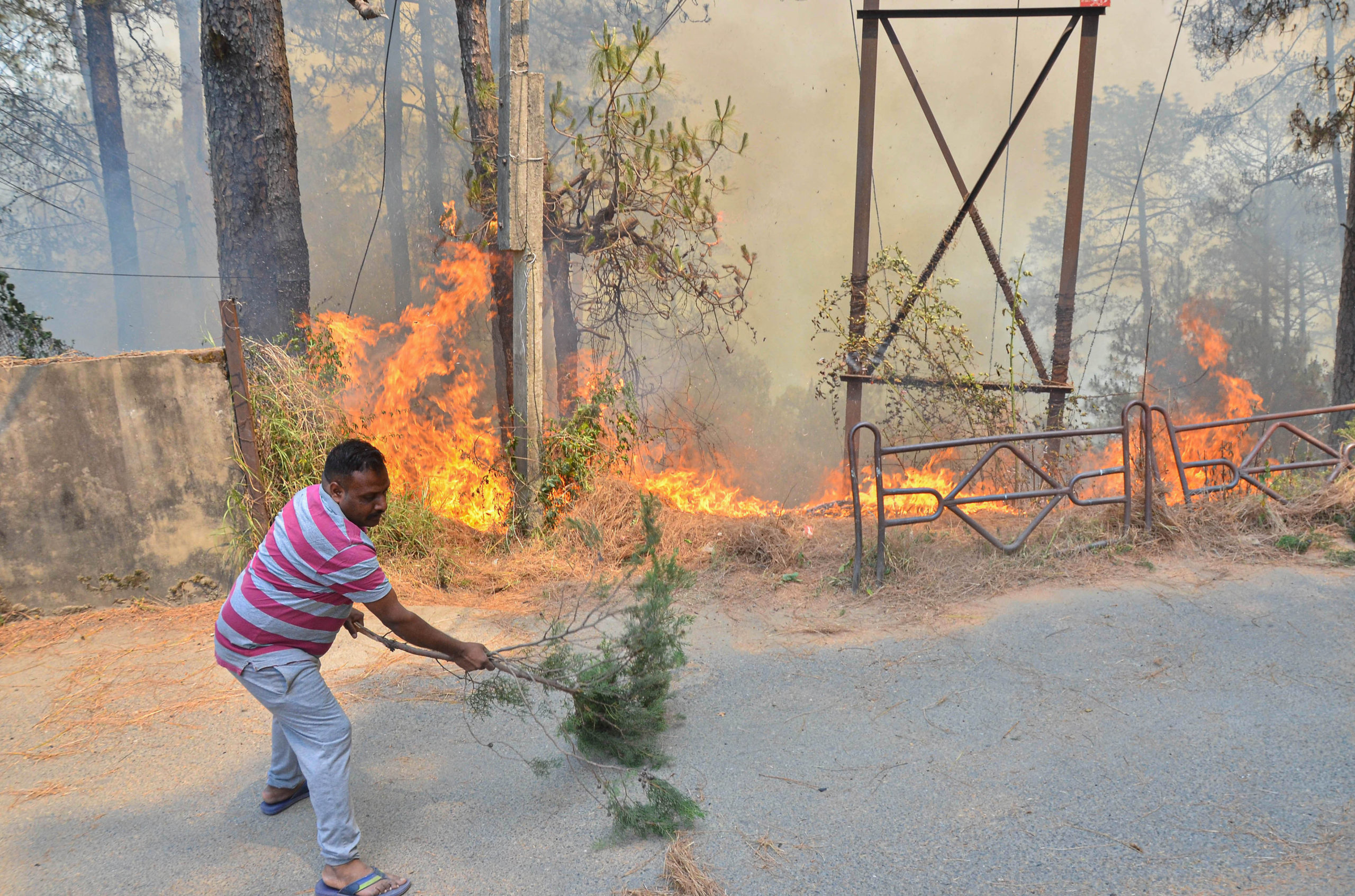 Forest fire in Shimla