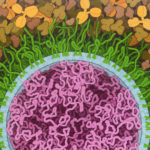 sars-cov-2-mrna-vaccine