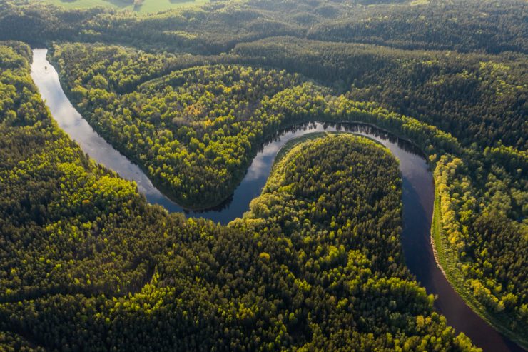 From Two Conservationists, a Hopeful Look at Earth's Five Largest Forests – The Wire Science - Vimarsana News