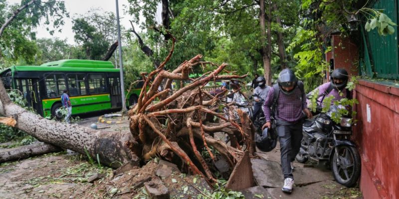 Two Killed, Trees Uprooted, Buildings Damaged As Heavy Rains, Winds Batter Delhi - Vimarsana News