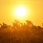 hot sun weather heat