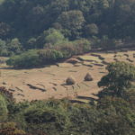 Image2