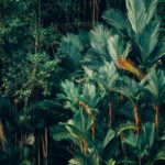 chuttersnap-9G1kXjqOq4U-unsplash