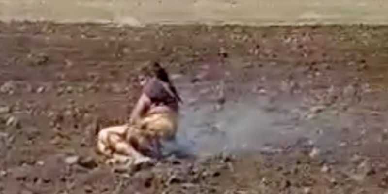Madhya Pradesh: Two Arrested for Setting Tribal Woman Ablaze for Resisting Encroachment - Vimarsana News