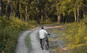 Haritha Haaram: How Telangana's Afforestation Project Proved ...