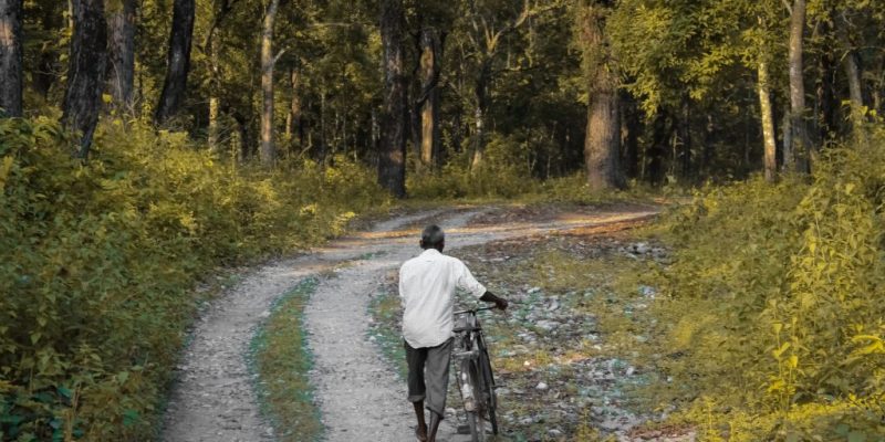 Environment Ministry's New Forest Diversion Rules Are Bad News for Forest Rights - Vimarsana News