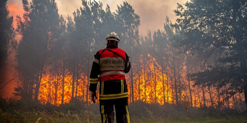 Wildfires Rage in France and Spain as Heatwaves Sear Europe - Vimarsana News