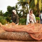 PRN_9131-Women-working-1-scaled