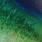 shifaaz-shamoon--EvyJMARpvY-unsplash