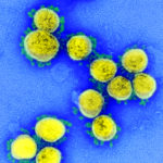 49645120251_1e39cea47b_o