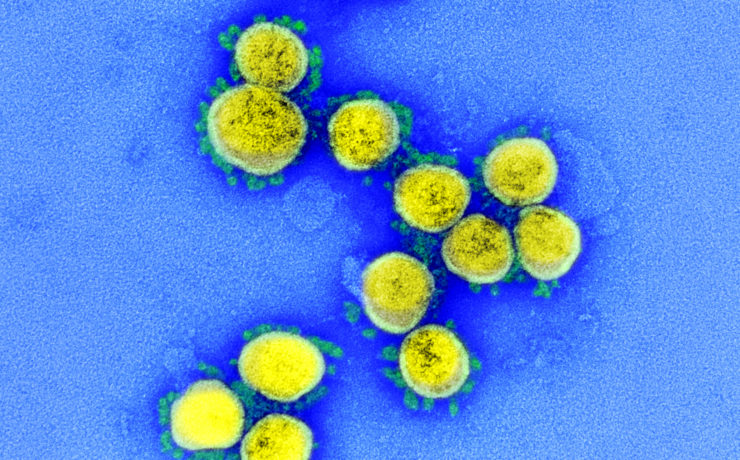 The Climate Crisis and Pandemics of the Future – The Wire Science - Vimarsana News