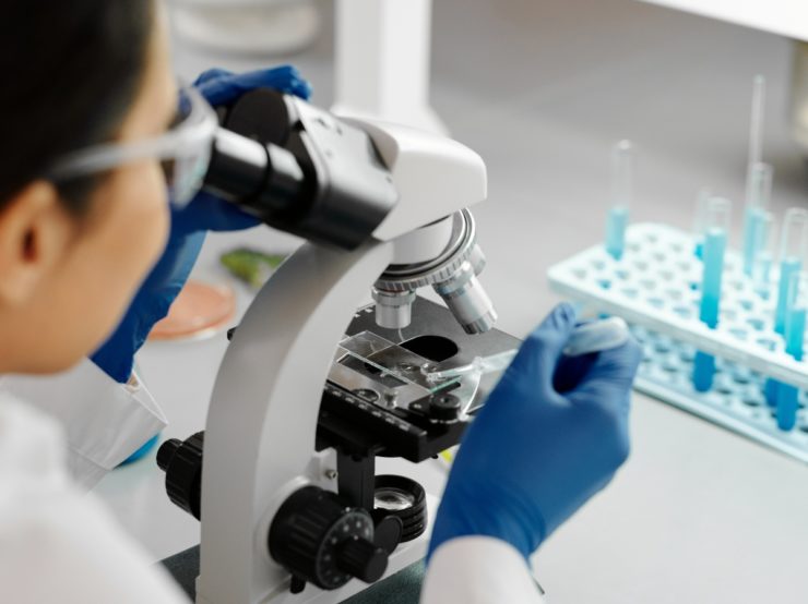 Scientists Say New GST Rates Will Cut Into Their Funding, Impact Research – The Wire Science - Vimarsana News