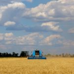 Farmers harvest wheat in Kherson region