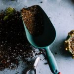 neslihan-gunaydin-BduDcrySLKM-unsplash