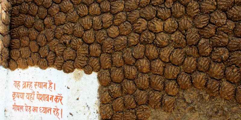 ¿Cuál es la palabra punjabi para «estiércol»?