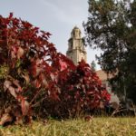 shreshth-gupta-LtDBxJXUtKg-unsplash