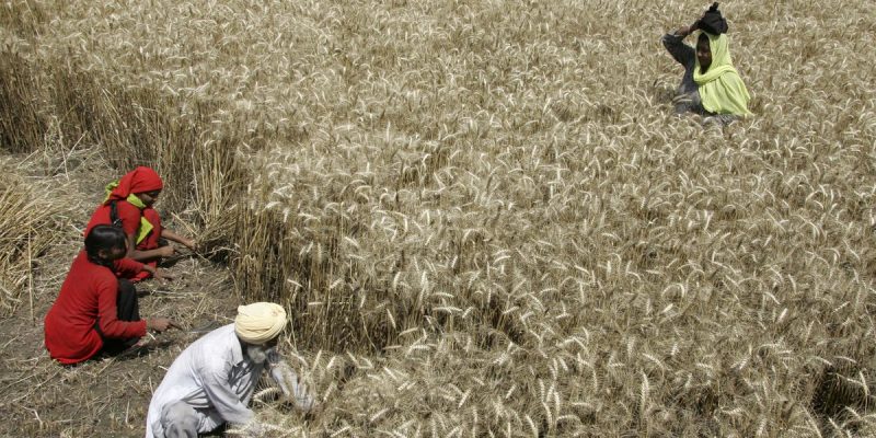 Climate-Smart Agriculture Needs Better Planning For Weather Aberrations - Vimarsana News