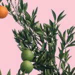 viktor-talashuk-m7VRDnn1IaM-unsplash