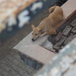 aayush-sharma-ukZ4LE8sCxE-unsplash