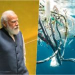 modi-plastic-fish