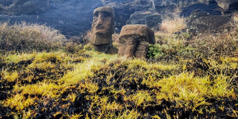 Chile: Wildfires Cause 'Irreparable' Damage to Easter Island's 'Moai' Statues - Vimarsana News
