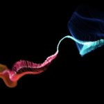 richard-horvath-WOA3QKFjlo8-unsplash
