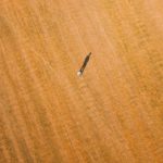 jimmy-chang-XVU3GG35DeE-unsplash
