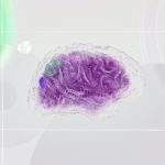 deepmind-LaKwLAmcnBc-unsplash