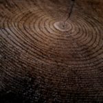 gabriel-jimenez-HiE8X1yH0mc-unsplash