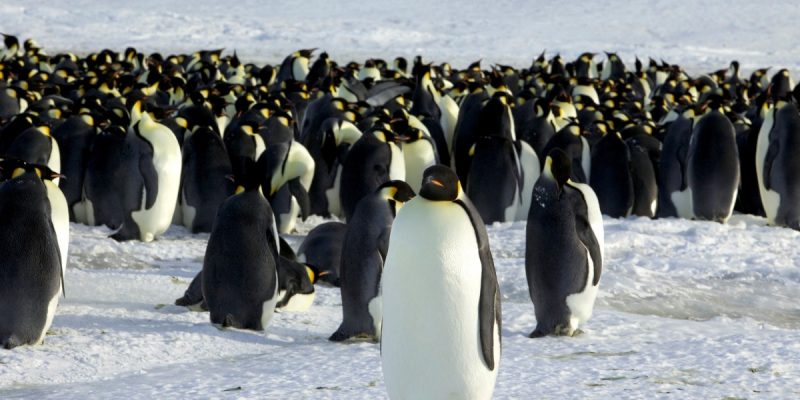 World's Climate Commitments Won't Be Enough to Limit Global Warming to 1.5°C: UN Report - Vimarsana News