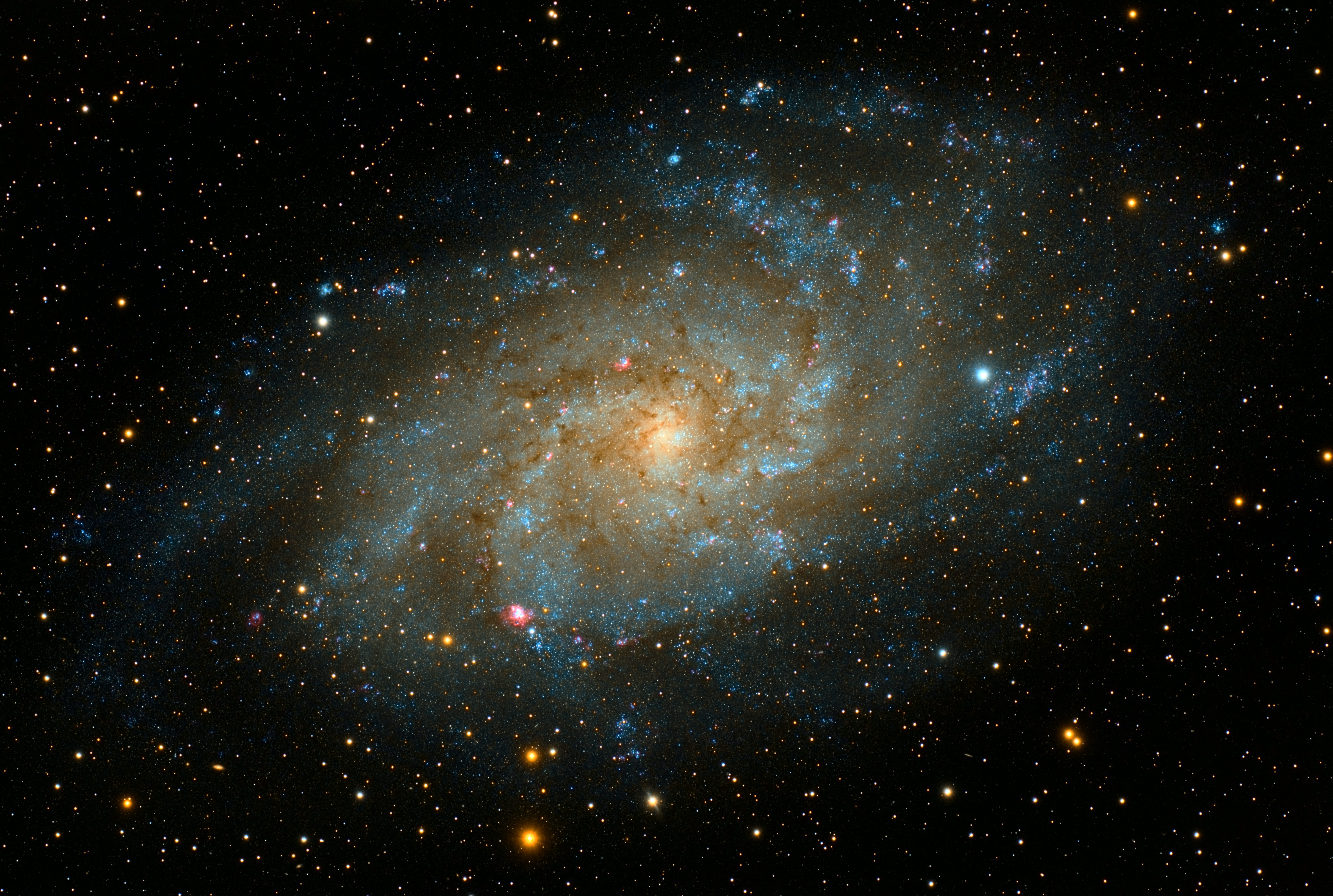 guillermo-ferla-lLExhYl-cXQ-unsplash