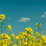 ross-tek-qvbzWmDpBqM-unsplash